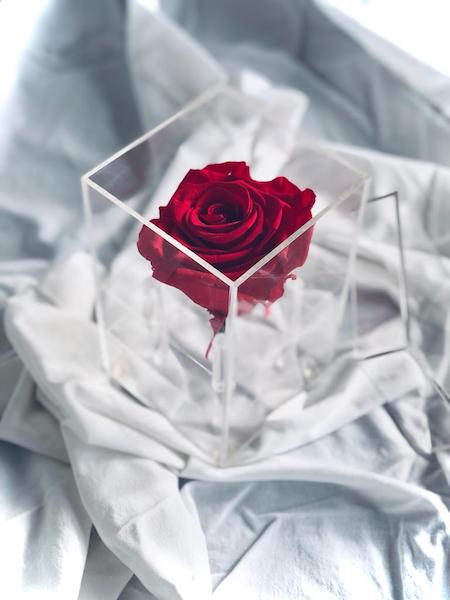 caja-metacrilato-rosas.jpg