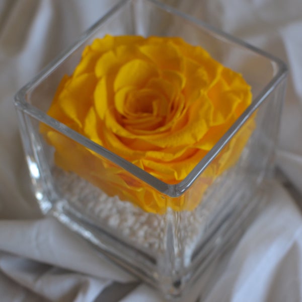 rosa-preservada-en-vaso-cuadrado-amarilla.jpg
