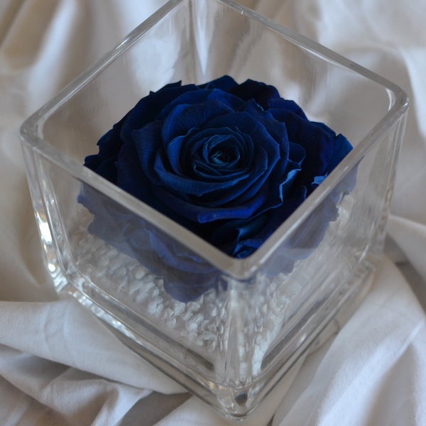 rosa-preservada-en-vaso-cuadrado-azul.jpg