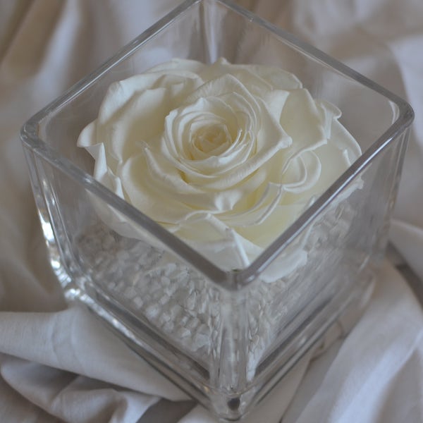 rosa-preservada-en-vaso-cuadrado-blanco.jpg