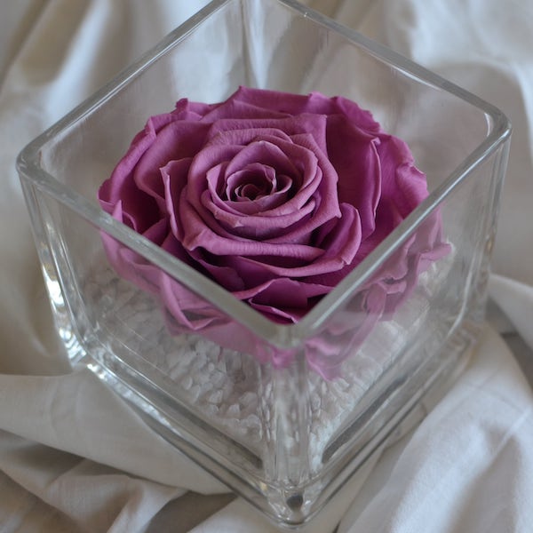 rosa-preservada-en-vaso-cuadrado-colorete.jpg