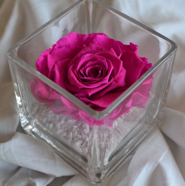 rosa-preservada-en-vaso-cuadrado-fucsia.jpg