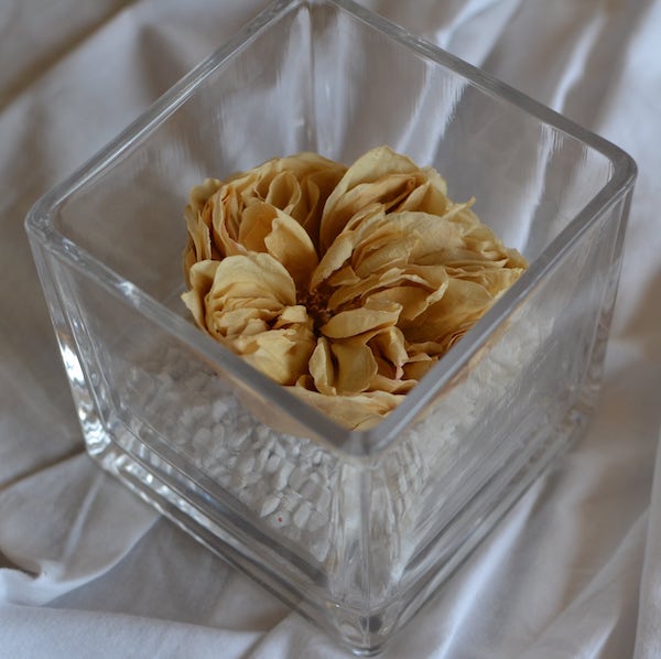 rosa-preservada-en-vaso-cuadrado-garden-rose.jpg