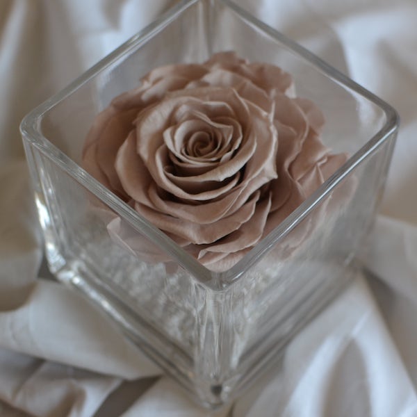 rosa-preservada-en-vaso-cuadrado-maquillaje.jpg