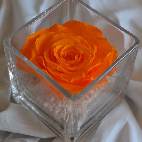 rosa-preservada-en-vaso-cuadrado-naranja.jpg